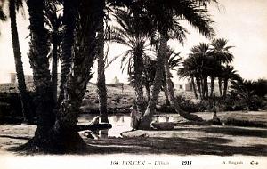 DOUCEN - BISKRA - OASIS - 1915